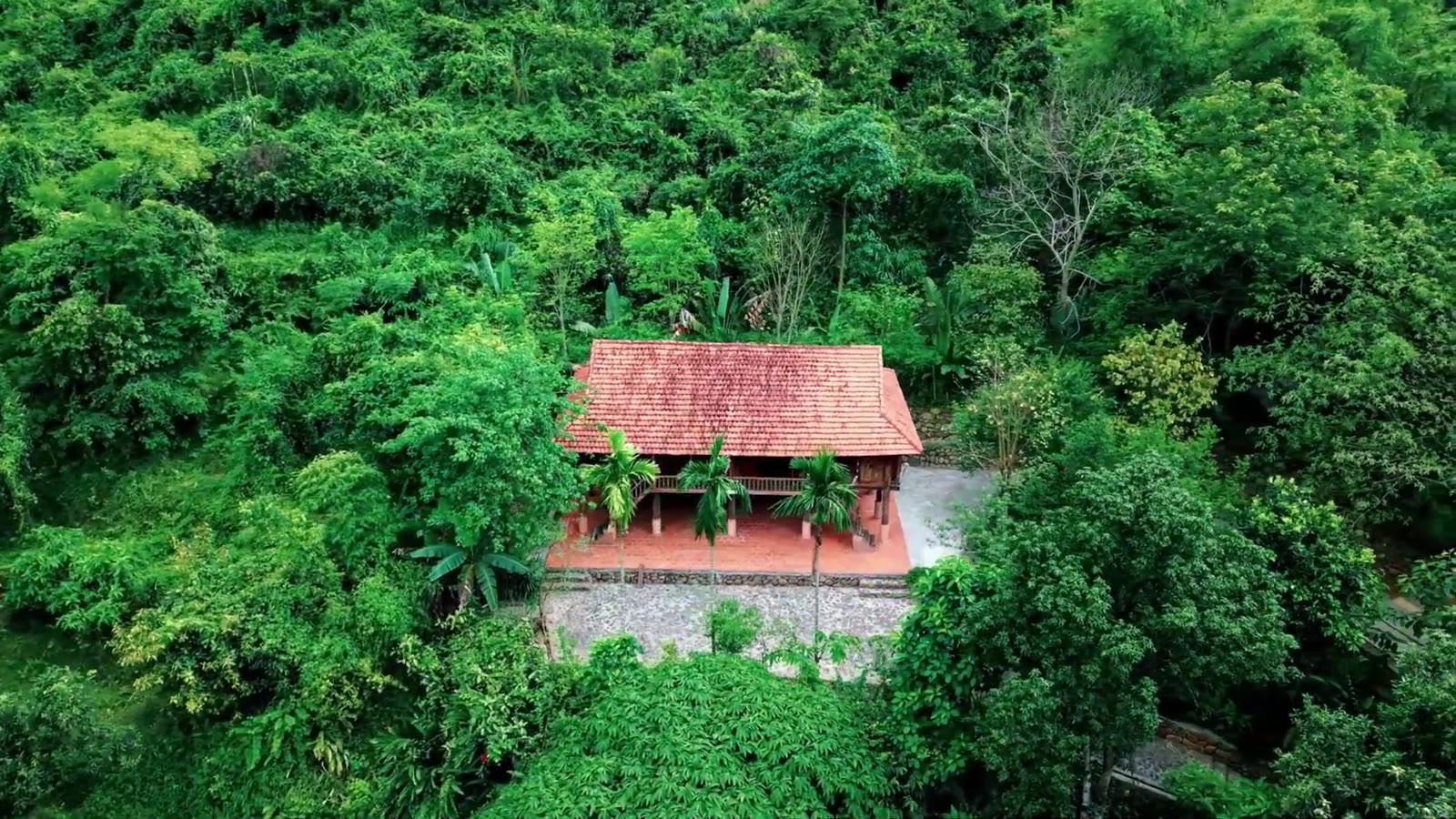 Đại ngàn Ba Vì