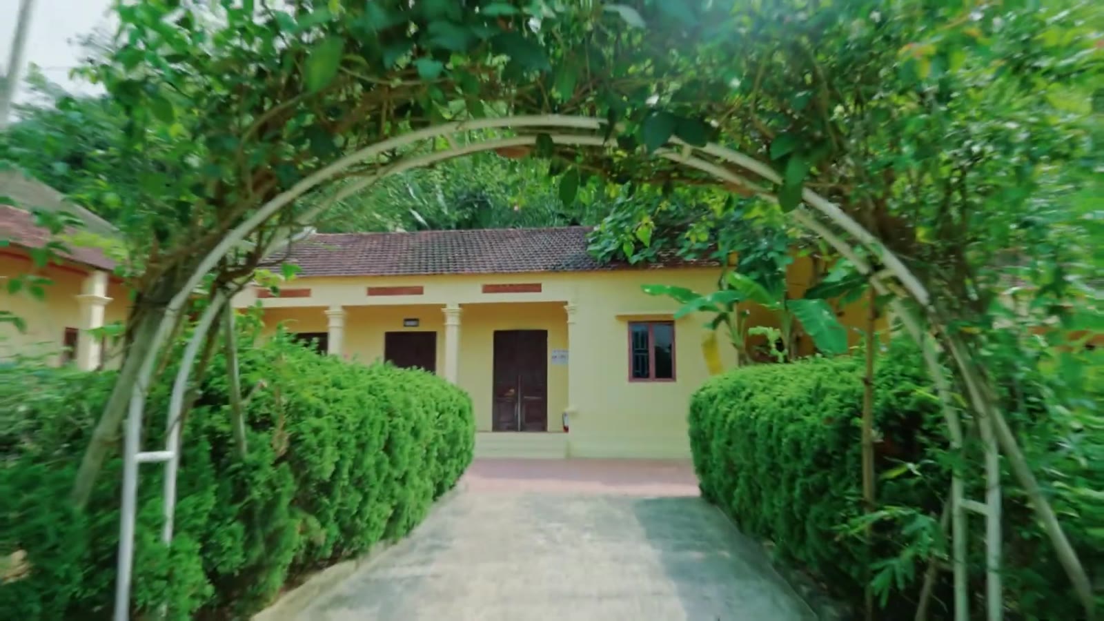 Rừng nguyên sơ Ba Vì